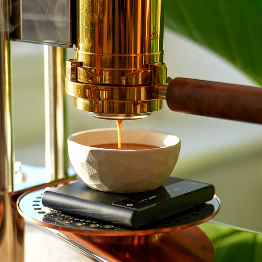 Earth Espresso Cups